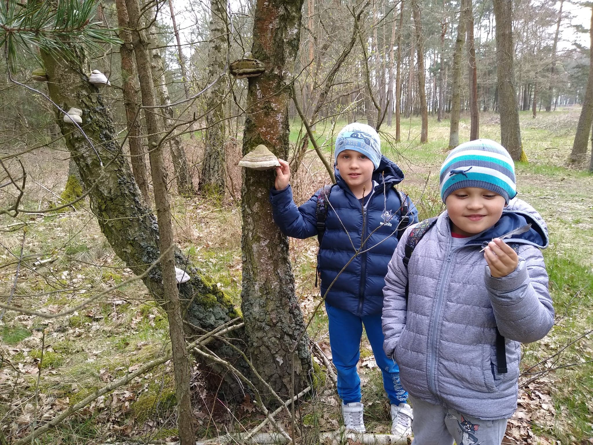 chłopcy przy drzewie z hubami