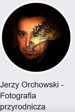 Jerzy Orchowski Fotografia Przyrodnicza