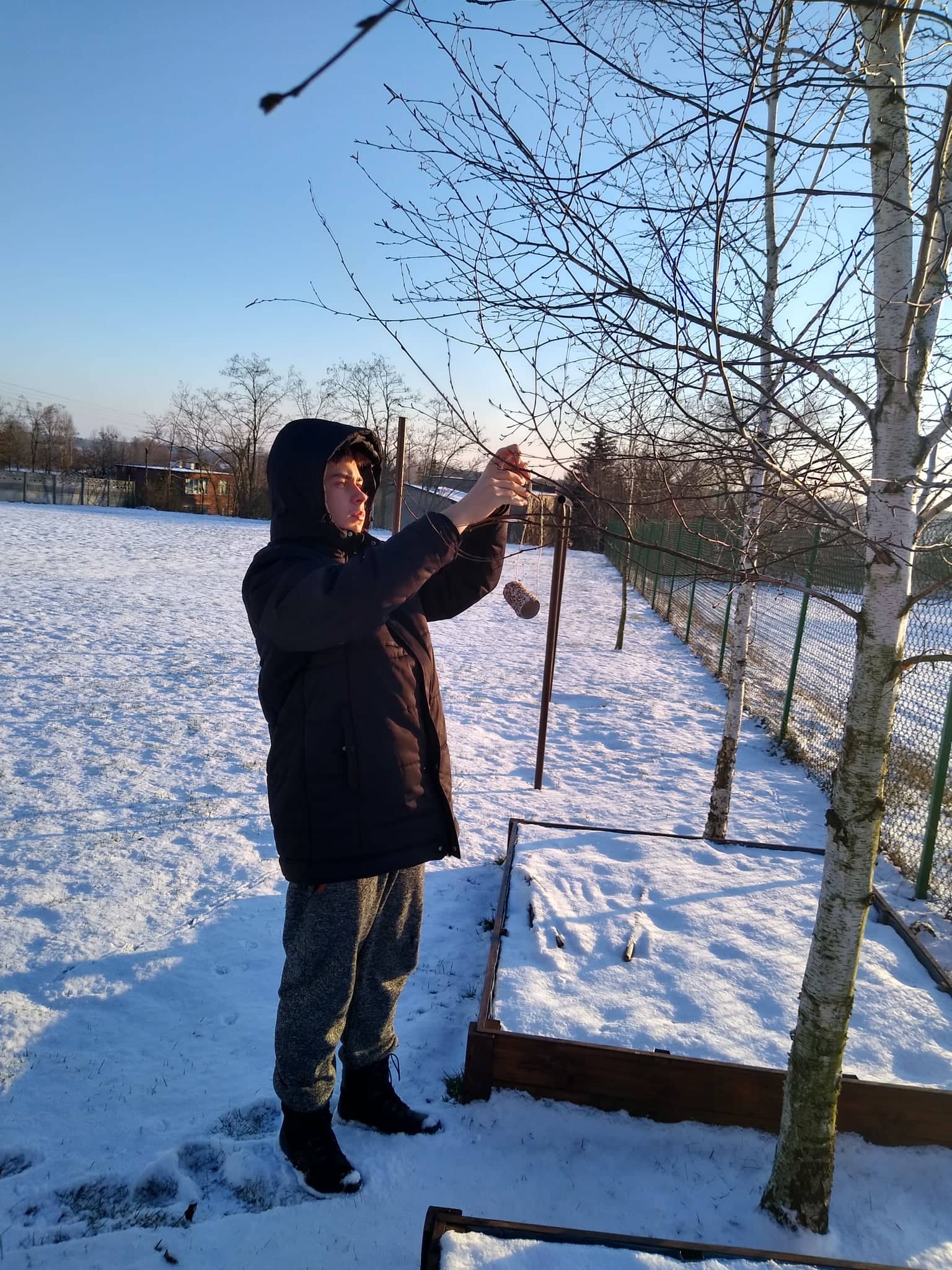 wychowanek wieszający rolkę z ziarnami na drzewie dookoła śnieg